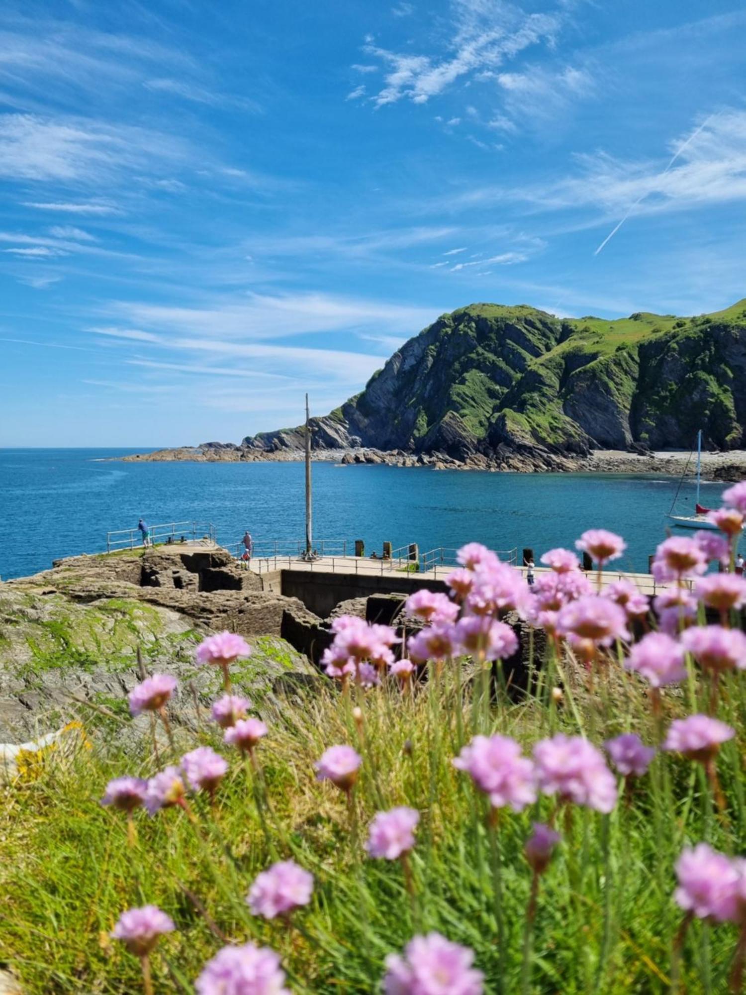 Apartment Puffin Ilfracombe